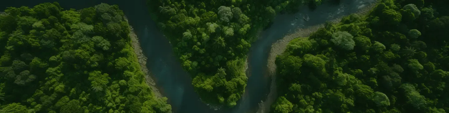 Hero Banner Hero Banner